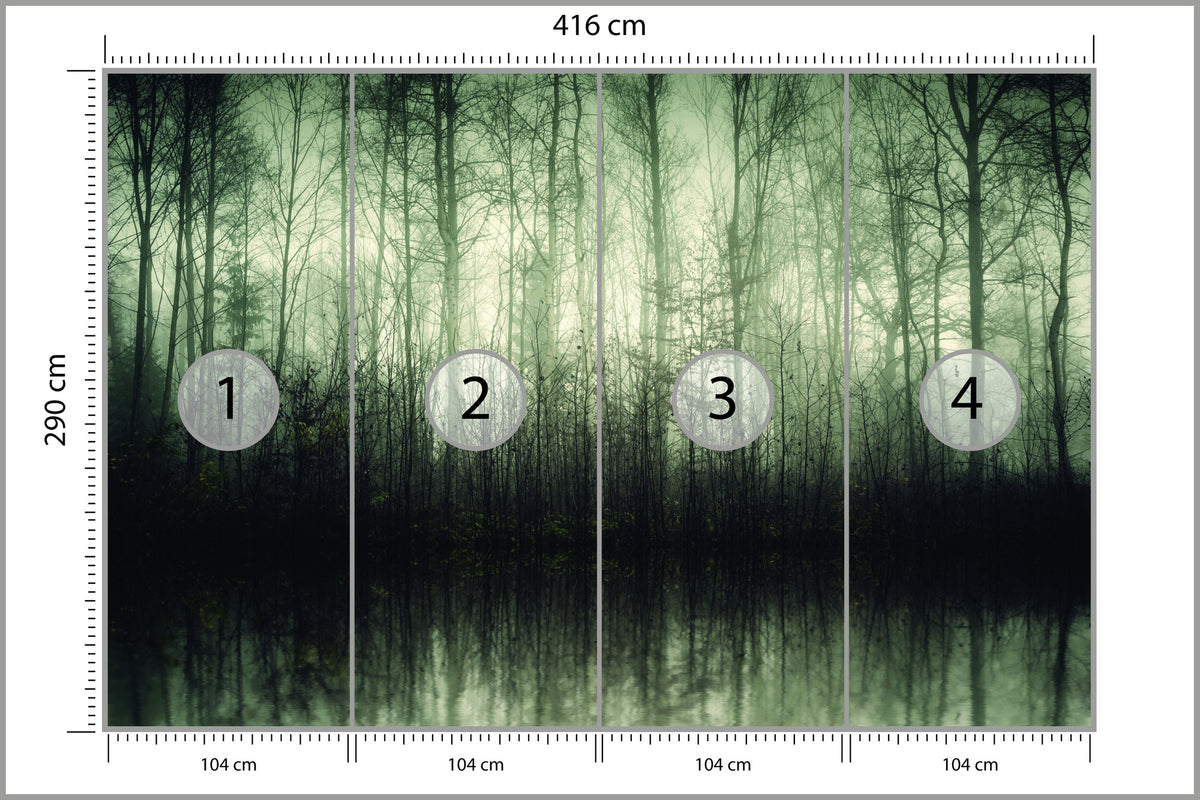 Fototapeta Las Drzewa Woda 416 × 290 cm – podgląd kadru