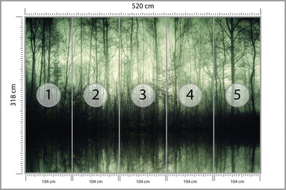 Fototapeta Las Drzewa Woda 520 × 318 cm – podgląd kadru