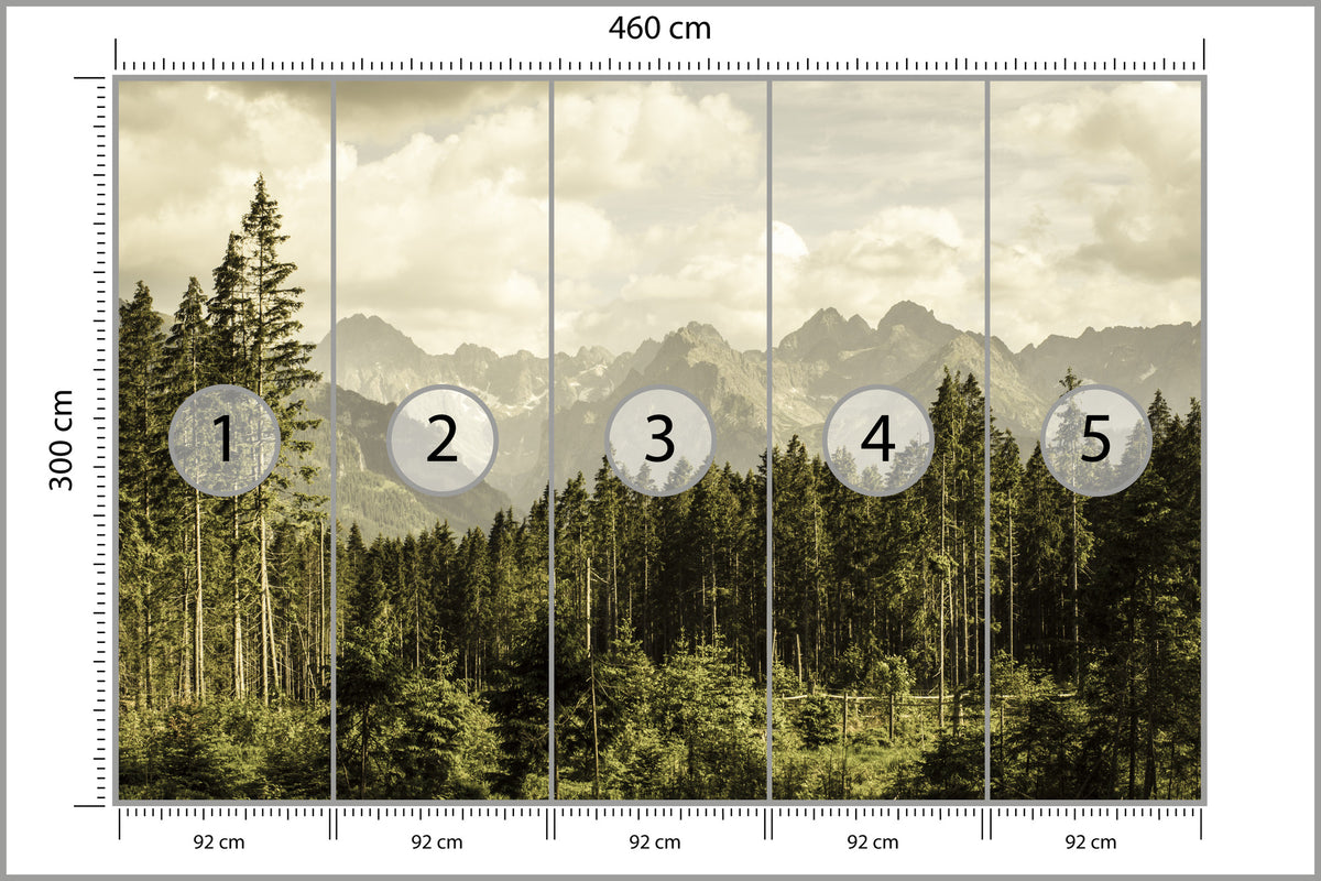 Fototapeta Las Sosnowy Pod Górami 460 × 300 cm – podgląd kadru