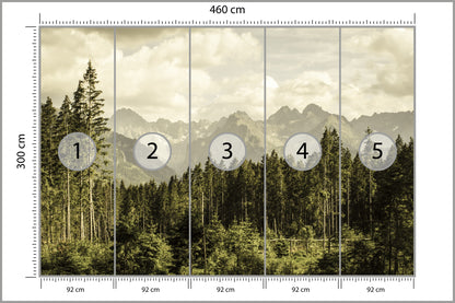Fototapeta Las Sosnowy Pod Górami 460 × 300 cm – podgląd kadru