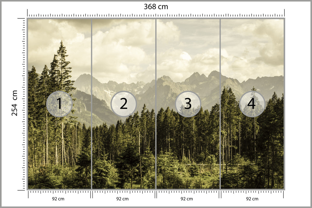 Fototapeta Las Sosnowy Pod Górami 368 × 254 cm – podgląd kadru