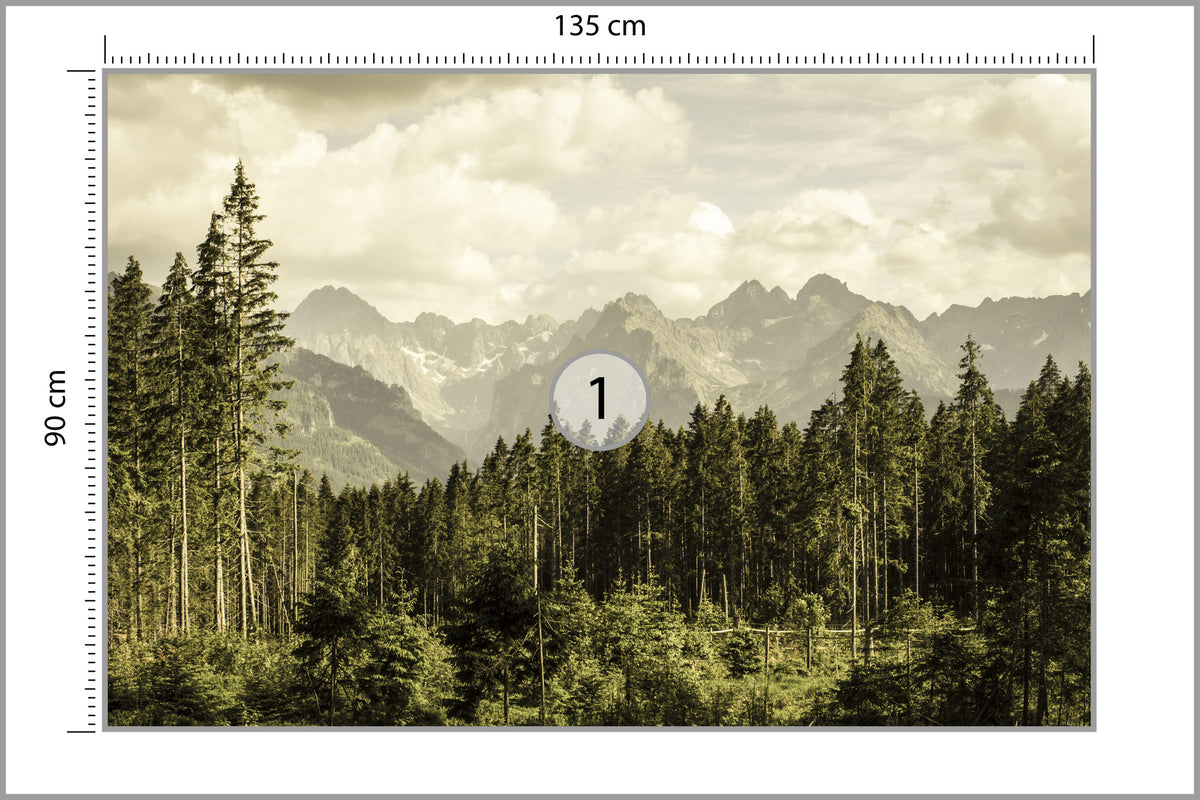 Fototapeta Las Sosnowy Pod Górami 135 × 90 cm – podgląd kadru