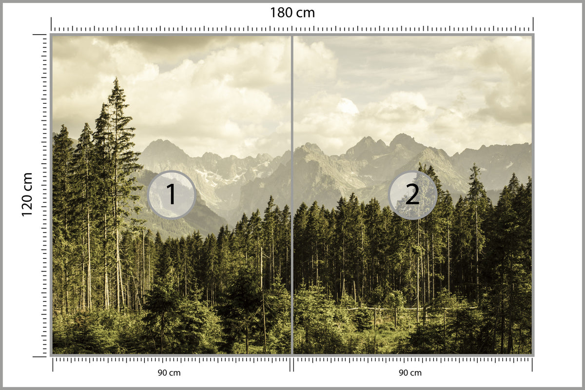 Fototapeta Las Sosnowy Pod Górami 180 × 120 cm – podgląd kadru