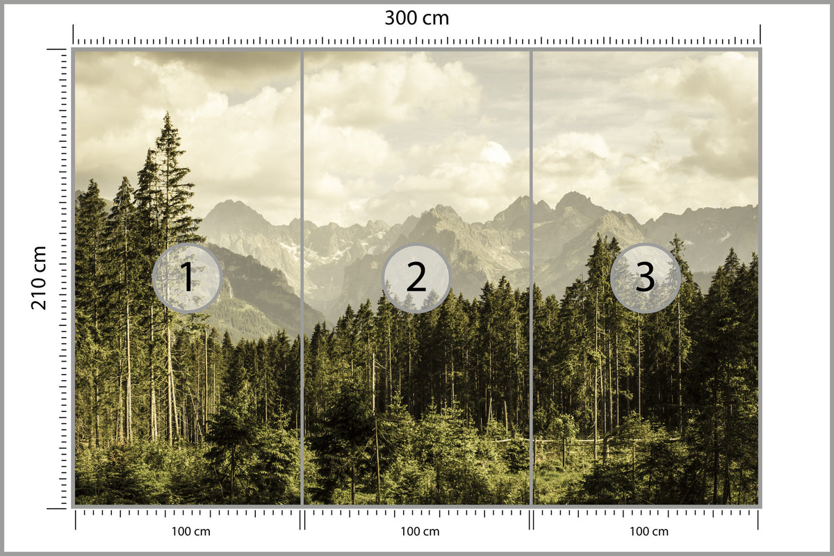 Fototapeta Las Sosnowy Pod Górami 300 × 210 cm – podgląd kadru