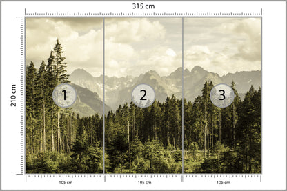 Fototapeta Las Sosnowy Pod Górami 315 × 210 cm – podgląd kadru