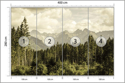 Fototapeta Las Sosnowy Pod Górami 400 × 280 cm – podgląd kadru