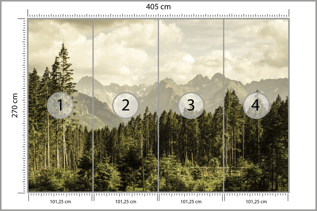 Fototapeta Las Sosnowy Pod Górami 405 × 270 cm – podgląd kadru