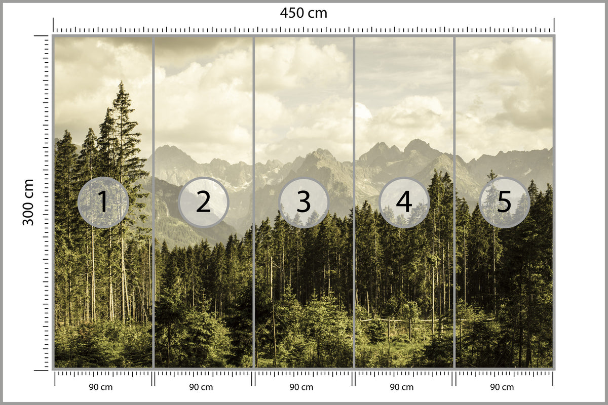 Fototapeta Las Sosnowy Pod Górami 450 × 300 cm – podgląd kadru