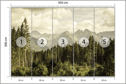 Fototapeta Las Sosnowy Pod Górami 450 × 300 cm – podgląd kadru