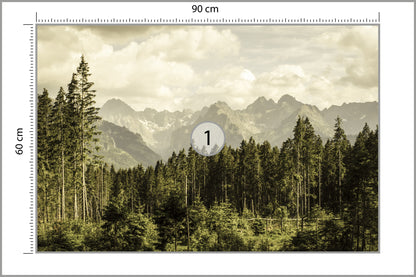 Fototapeta Las Sosnowy Pod Górami 90 × 60 cm – podgląd kadru