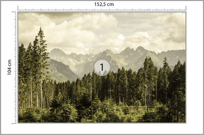 Fototapeta Las Sosnowy Pod Górami 152,5 × 104 cm – podgląd kadru