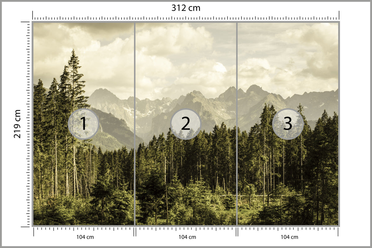 Fototapeta Las Sosnowy Pod Górami 312 × 219 cm – podgląd kadru