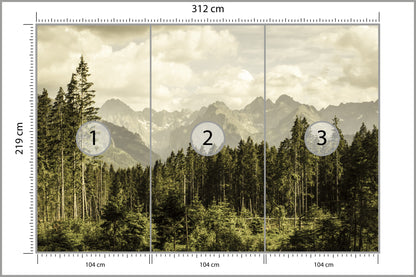Fototapeta Las Sosnowy Pod Górami 312 × 219 cm – podgląd kadru