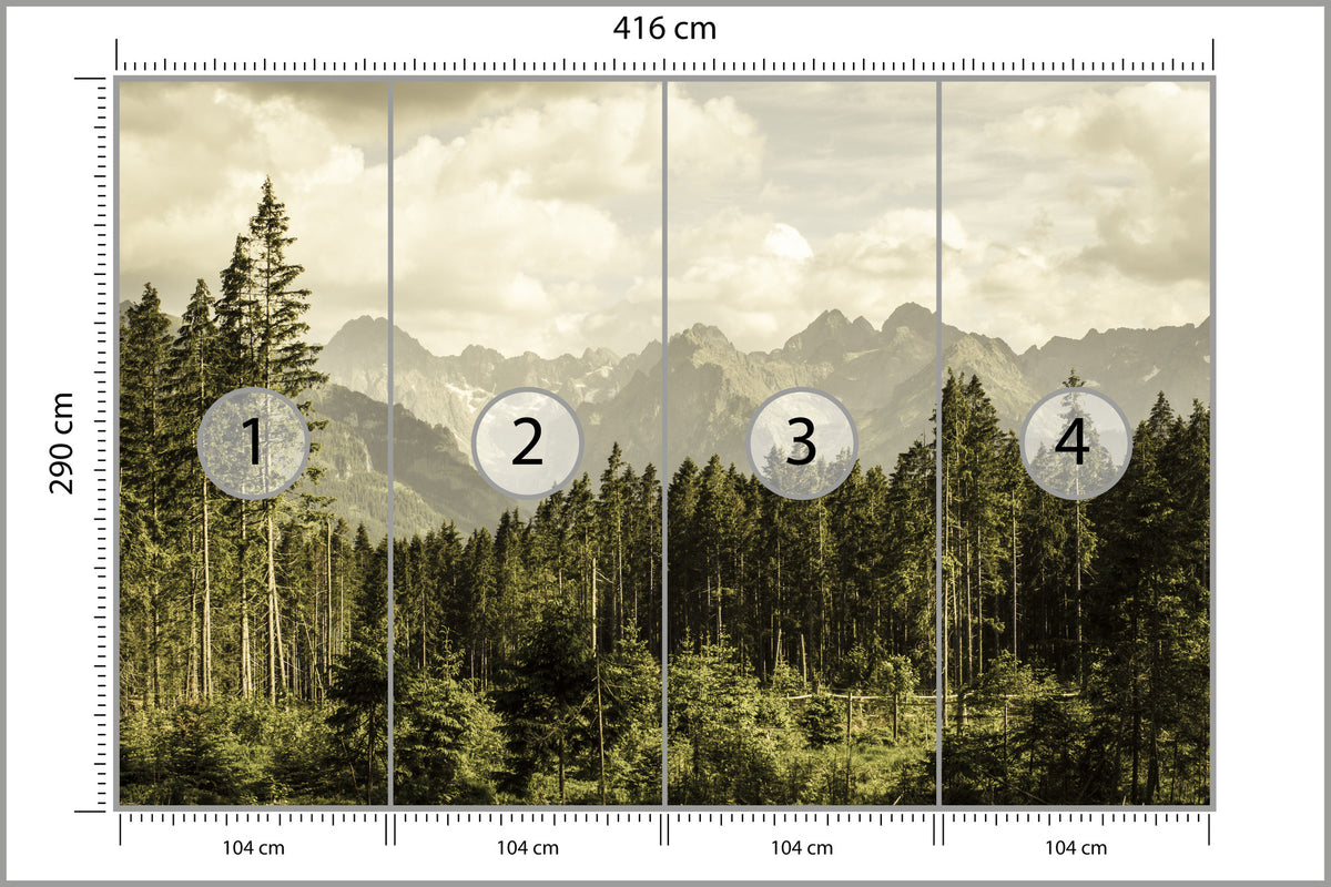 Fototapeta Las Sosnowy Pod Górami 416 × 290 cm – podgląd kadru