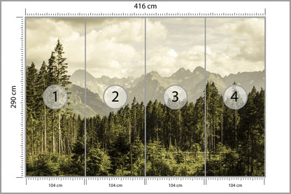 Fototapeta Las Sosnowy Pod Górami 416 × 290 cm – podgląd kadru