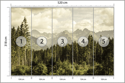 Fototapeta Las Sosnowy Pod Górami 520 × 318 cm – podgląd kadru
