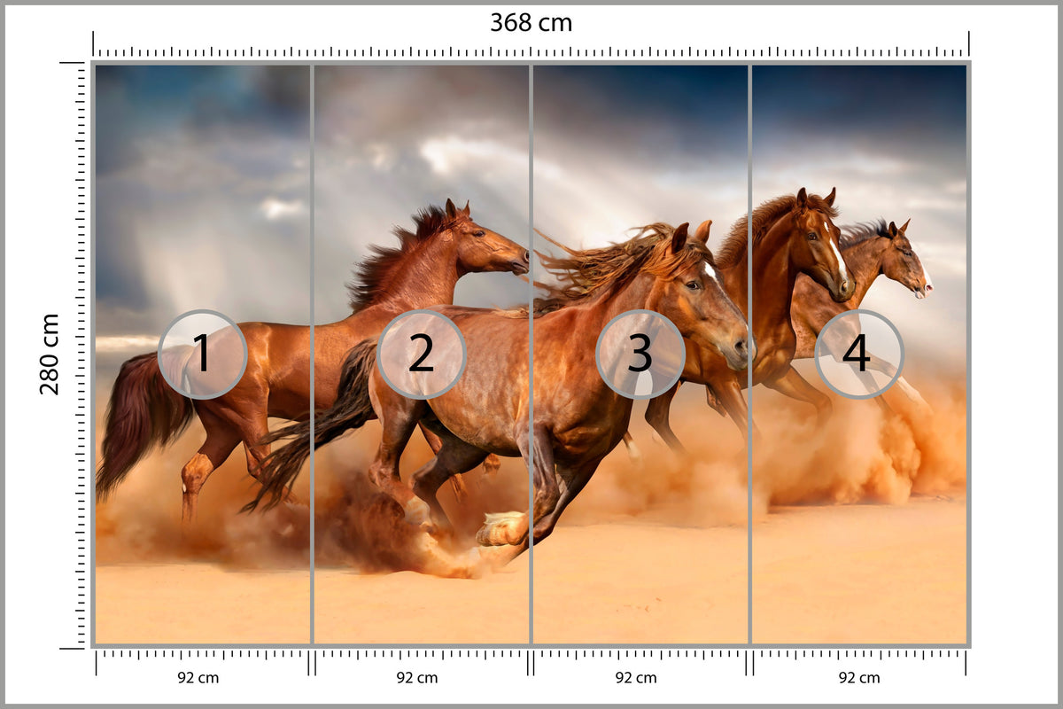 Fototapeta Konie Biegnące Po Pustyni 368 × 280 cm – podgląd kadru