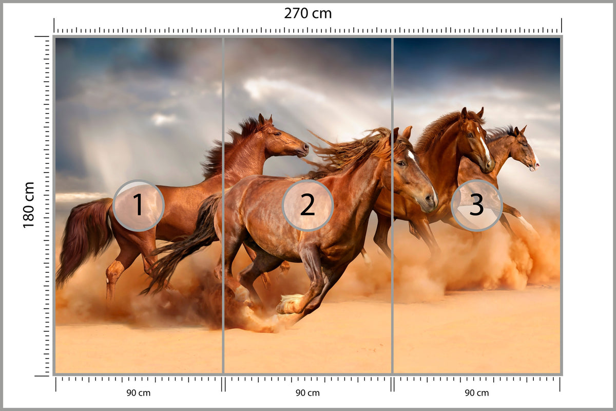 Fototapeta Konie Biegnące Po Pustyni 270 × 180 cm – podgląd kadru