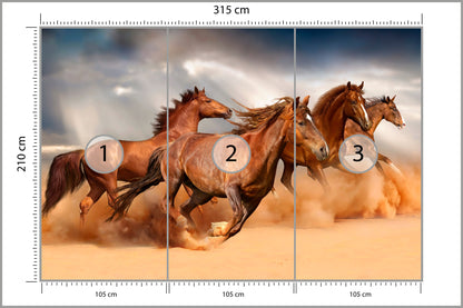 Fototapeta Konie Biegnące Po Pustyni 315 × 210 cm – podgląd kadru