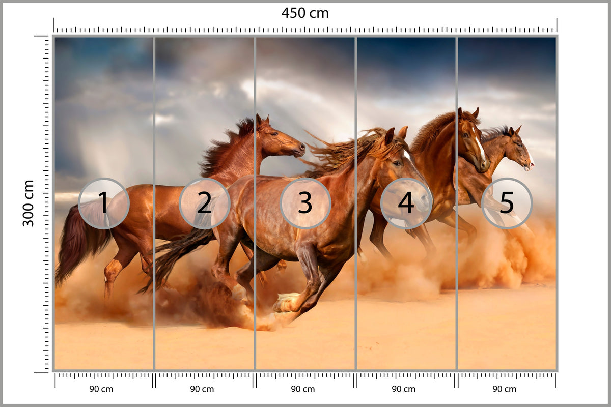 Fototapeta Konie Biegnące Po Pustyni 450 × 300 cm – podgląd kadru