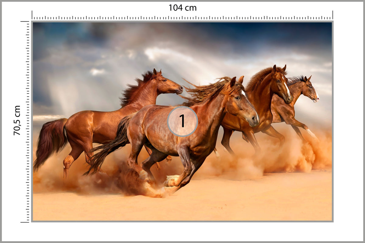 Fototapeta Konie Biegnące Po Pustyni 104 × 70,5 cm – podgląd kadru