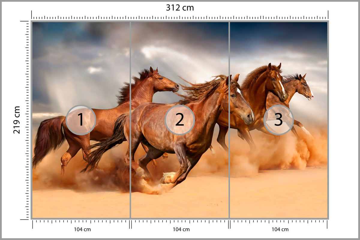 Fototapeta Konie Biegnące Po Pustyni 312 × 219 cm – podgląd kadru