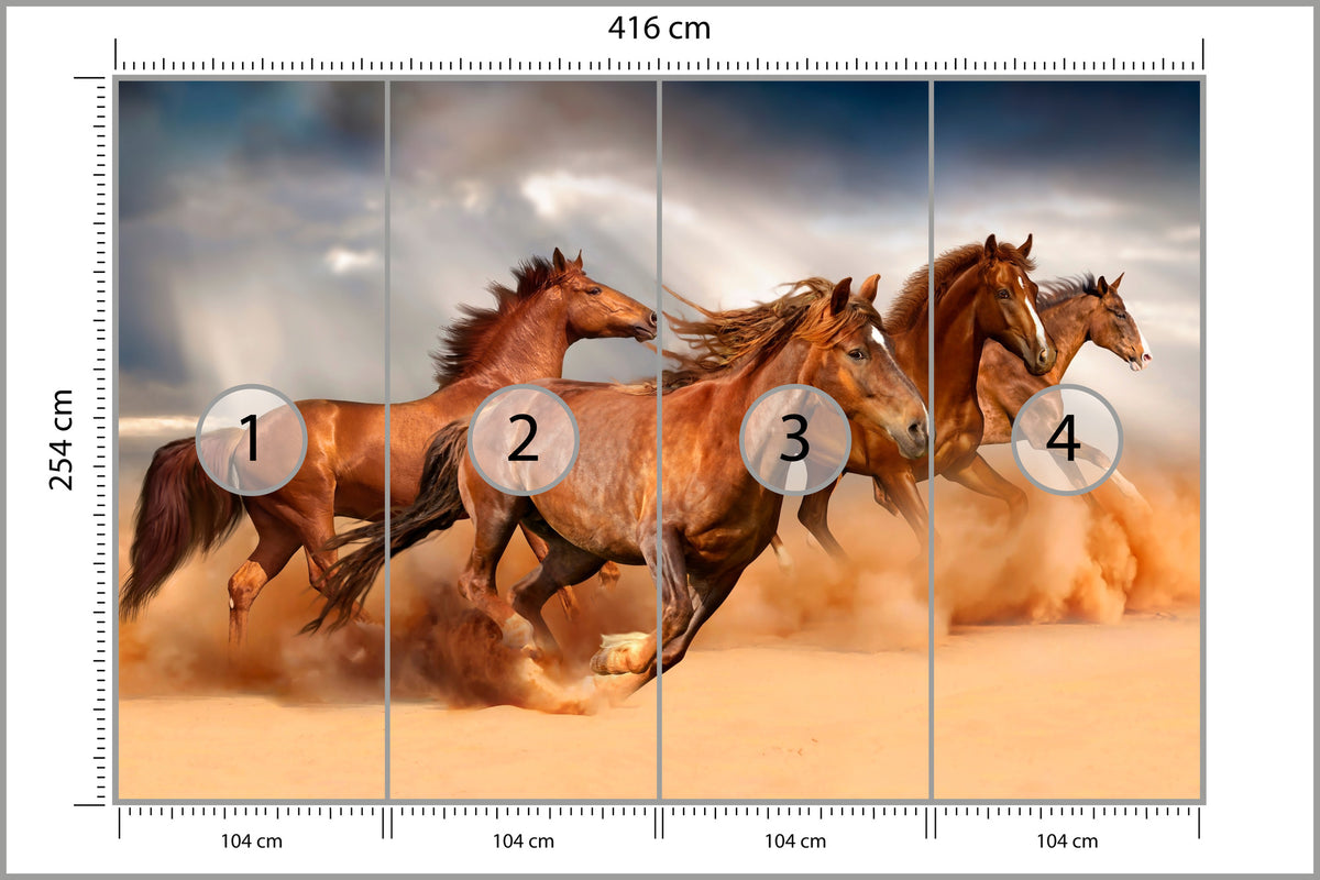 Fototapeta Konie Biegnące Po Pustyni 416 × 254 cm – podgląd kadru