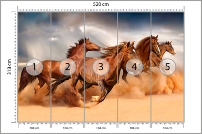 Fototapeta Konie Biegnące Po Pustyni 520 × 318 cm – podgląd kadru