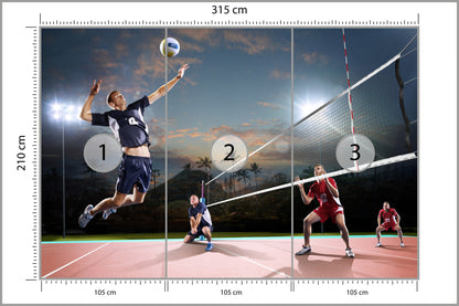 Fototapeta Siatkarze W Akcji 315 × 210 cm – podgląd kadru