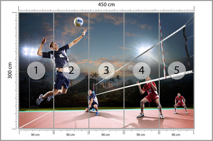 Fototapeta Siatkarze W Akcji 450 × 300 cm – podgląd kadru