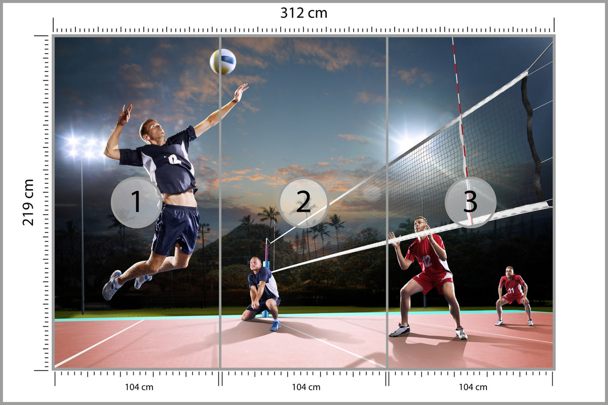 Fototapeta Siatkarze W Akcji 312 × 219 cm – podgląd kadru