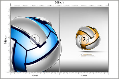 Fototapeta Dwie Piłki Siatkowe 3D 208 × 146 cm – podgląd kadru