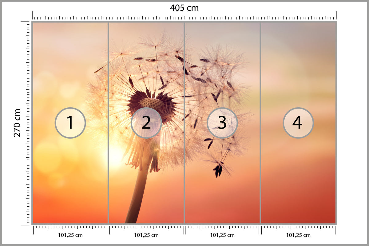 Fototapeta Optyczna Dmuchawiec O Zachodzie Słońca 405 × 270 cm – podgląd kadru