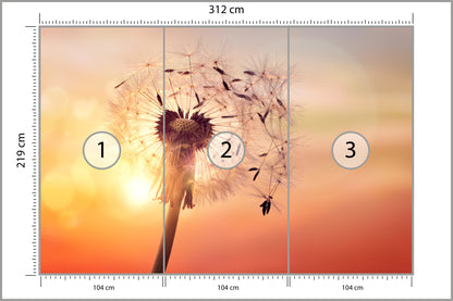 Fototapeta Optyczna Dmuchawiec O Zachodzie Słońca 312 × 219 cm – podgląd kadru