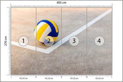 Fototapeta Piłka Siatkowa W Pobliżu Białej Linii 405 × 270 cm – podgląd kadru