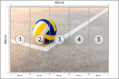 Fototapeta Piłka Siatkowa W Pobliżu Białej Linii 450 × 300 cm – podgląd kadru