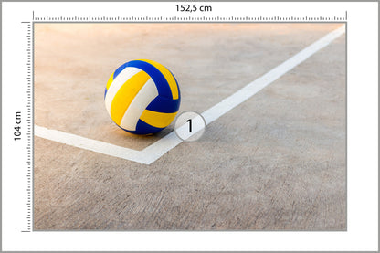 Fototapeta Piłka Siatkowa W Pobliżu Białej Linii 152,5 × 104 cm – podgląd kadru