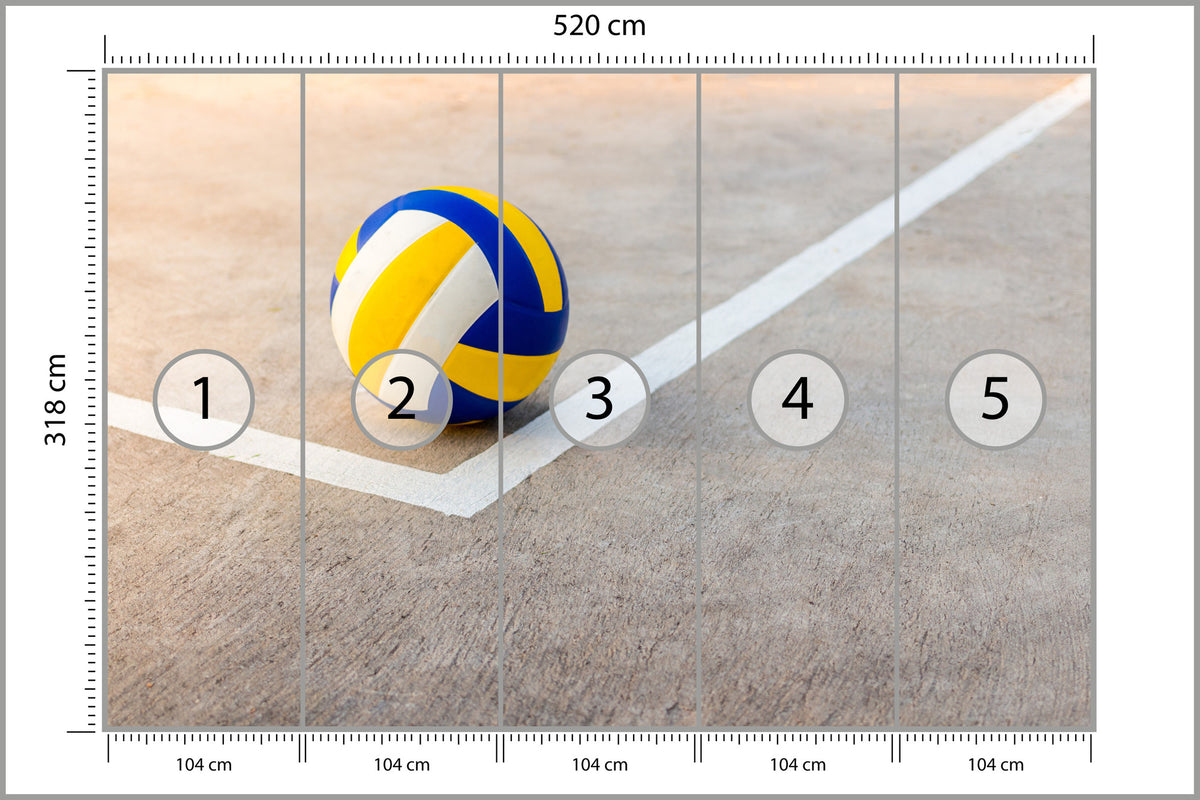 Fototapeta Piłka Siatkowa W Pobliżu Białej Linii 520 × 318 cm – podgląd kadru