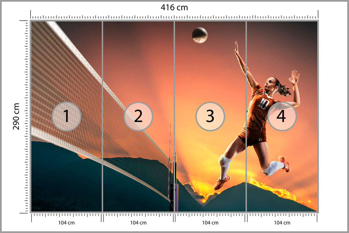 Fototapeta Profesjonalna Siatkarka Podczas Gry 416 × 290 cm – podgląd kadru