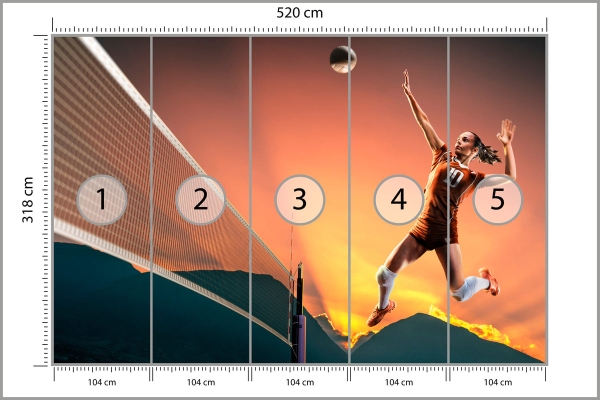 Fototapeta Profesjonalna Siatkarka Podczas Gry 520 × 318 cm – podgląd kadru