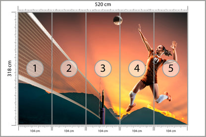 Fototapeta Profesjonalna Siatkarka Podczas Gry 520 × 318 cm – podgląd kadru