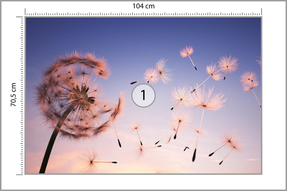 Fototapeta Nasiona Dmuchawca Na Wietrze 104 × 70,5 cm – podgląd kadru