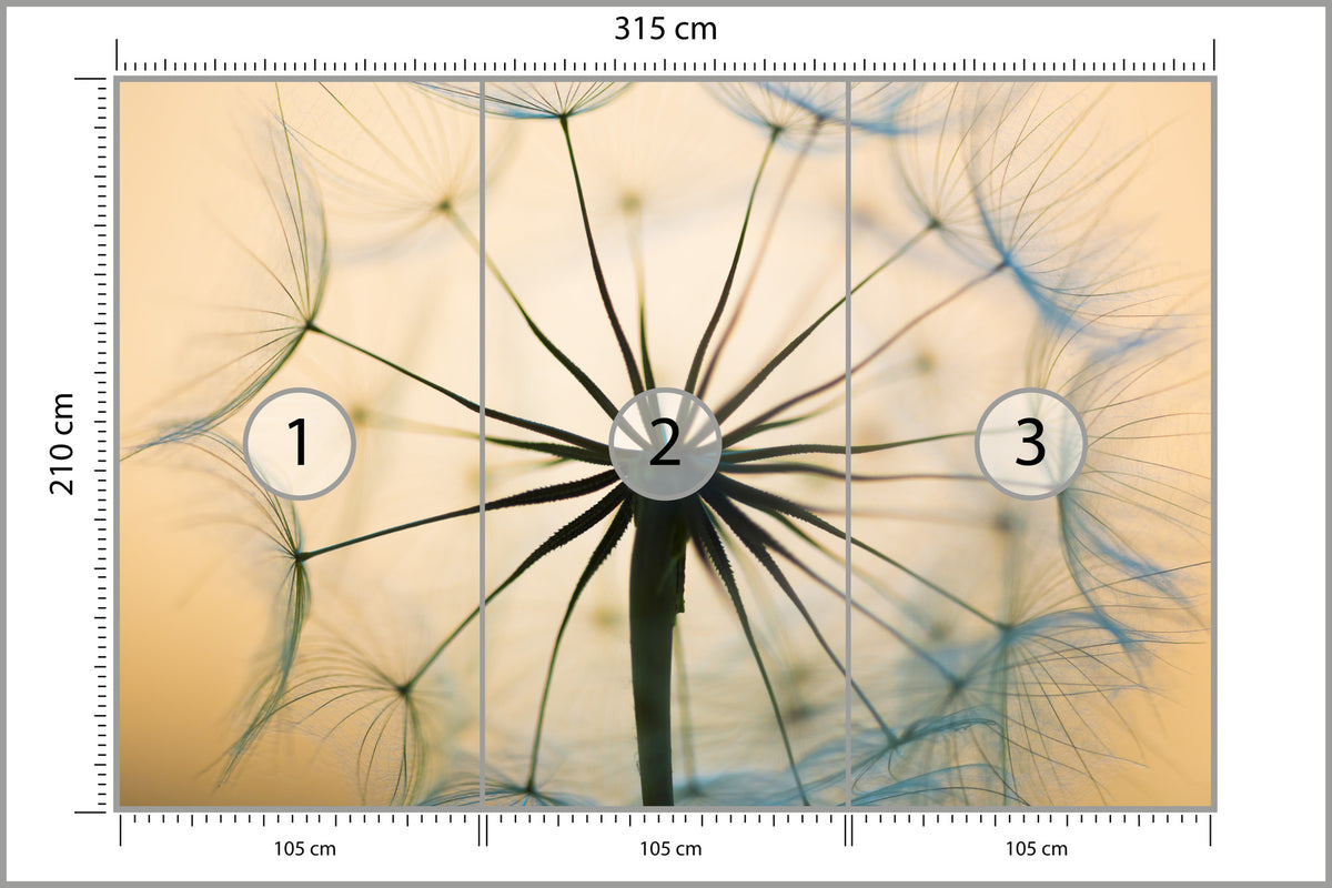 Fototapeta Optyczna Dmuchawiec W Beżach 315 × 210 cm – podgląd kadru