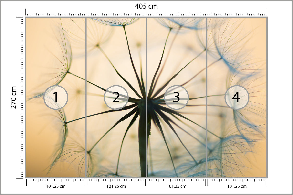 Fototapeta Optyczna Dmuchawiec W Beżach 405 × 270 cm – podgląd kadru