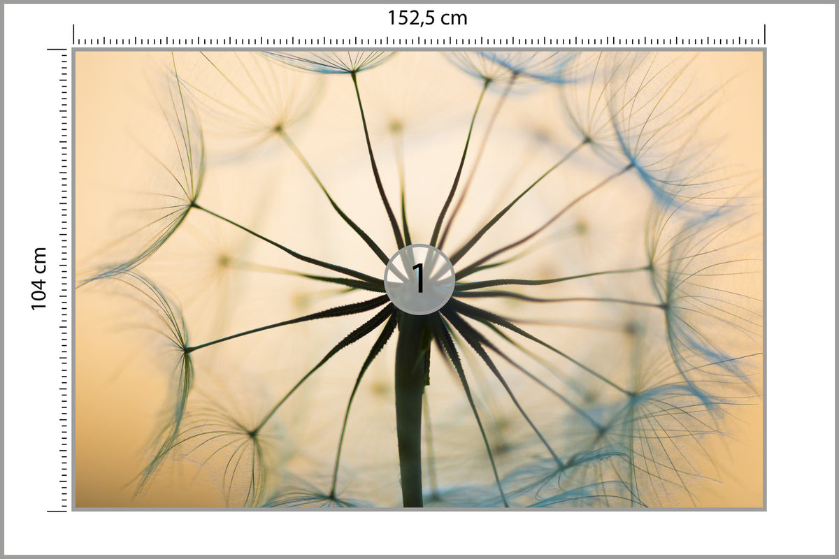 Fototapeta Optyczna Dmuchawiec W Beżach 152,5 × 104 cm – podgląd kadru