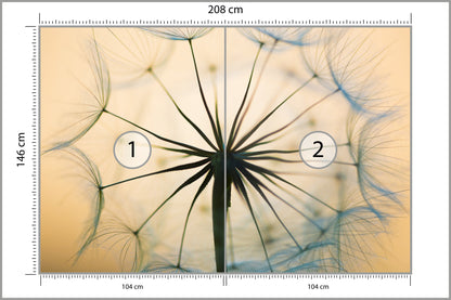 Fototapeta Optyczna Dmuchawiec W Beżach 208 × 146 cm – podgląd kadru