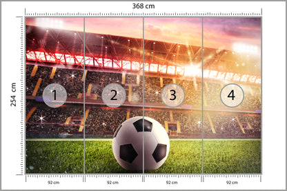 Fototapeta Piłka Nożna Na Stadionie 368 × 254 cm – podgląd kadru