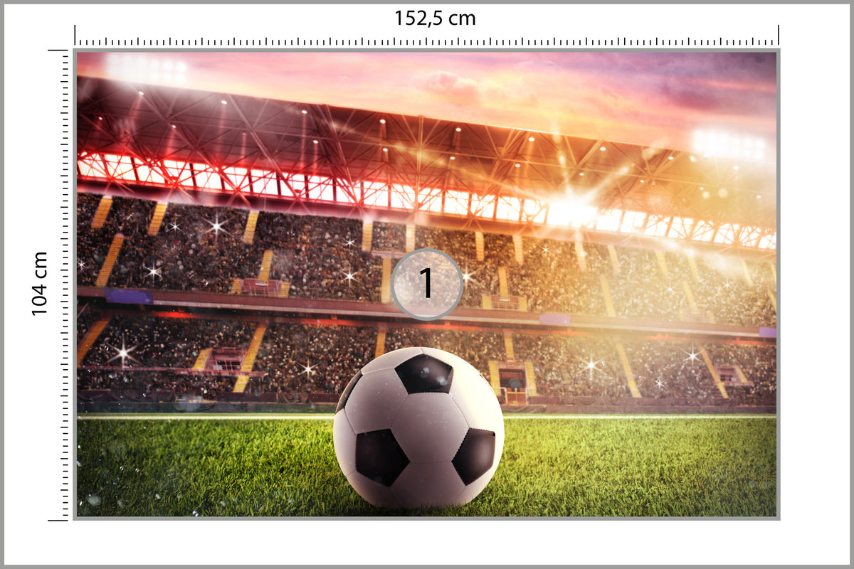 Fototapeta Piłka Nożna Na Stadionie 152,5 × 104 cm – podgląd kadru