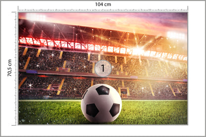 Fototapeta Piłka Nożna Na Stadionie 104 × 70,5 cm – podgląd kadru