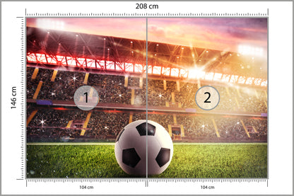Fototapeta Piłka Nożna Na Stadionie 208 × 146 cm – podgląd kadru